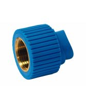 INJERTO PPR ROSCA HEMBRA AZUL